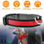 GBruno LED Dog Collar - High Visibility Safety