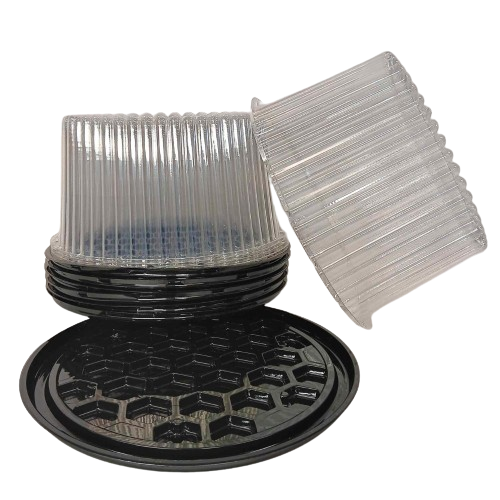 8" 2-3 Layer Cake Display Container with Clear Dome Lid