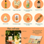 Le Kit de Cocktail Zéro-Alcool du Shrub Club