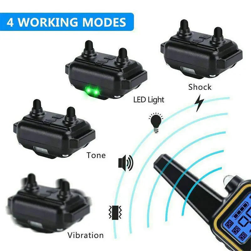 Collier de dressage pour chien étanche rechargeable de 3000 pieds