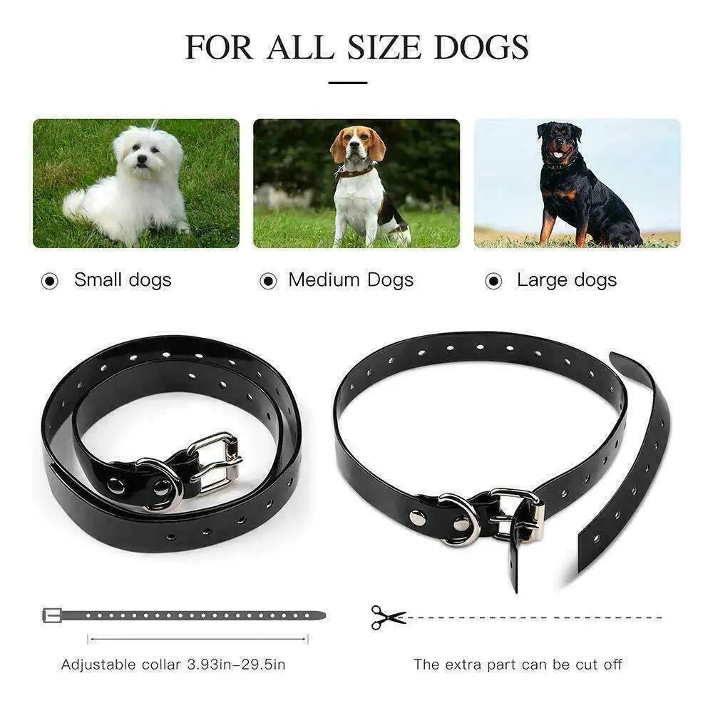 Collier de dressage pour chien étanche rechargeable de 3000 pieds