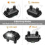 Collier de dressage pour chien étanche rechargeable de 3000 pieds