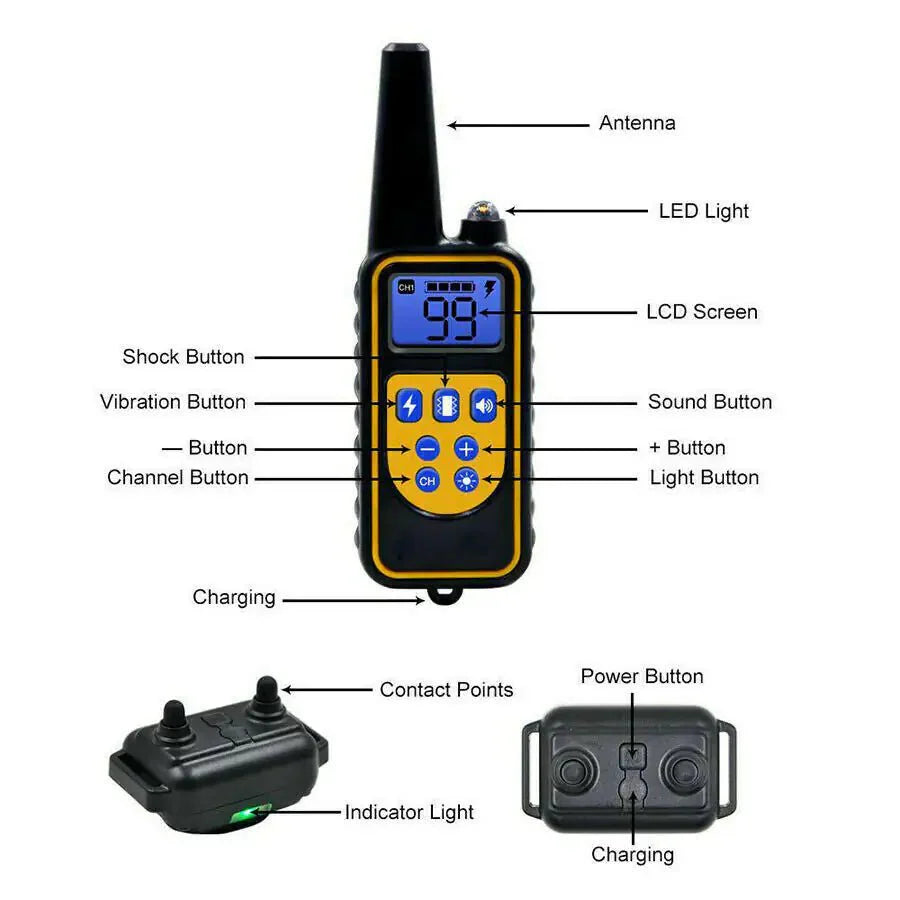 Collier de dressage pour chien étanche rechargeable de 3000 pieds
