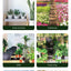 Insecticida en Spray Premium para Flores de Interior