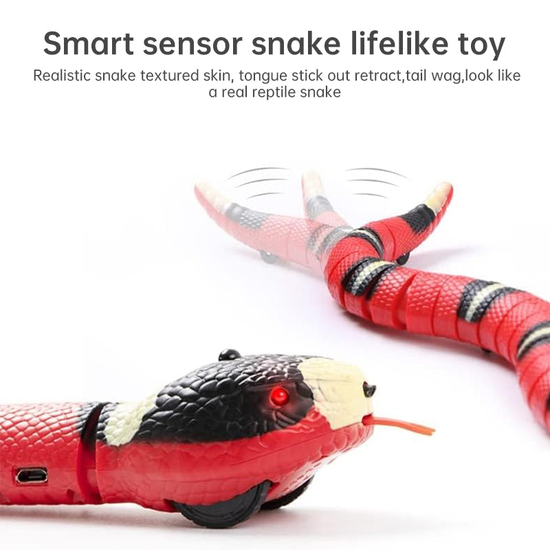 USB Rechargeable Interactive Cat Toy with Smart Sensing, an Automatic Electronic Snake for Kittens' Indoor Play. - Korvel