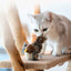 Dazzling Law Prey Series Cat Sound Toys