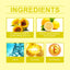 Aceite Esencial para el Cuidado del Cabello con Aceite de Girasol Premium