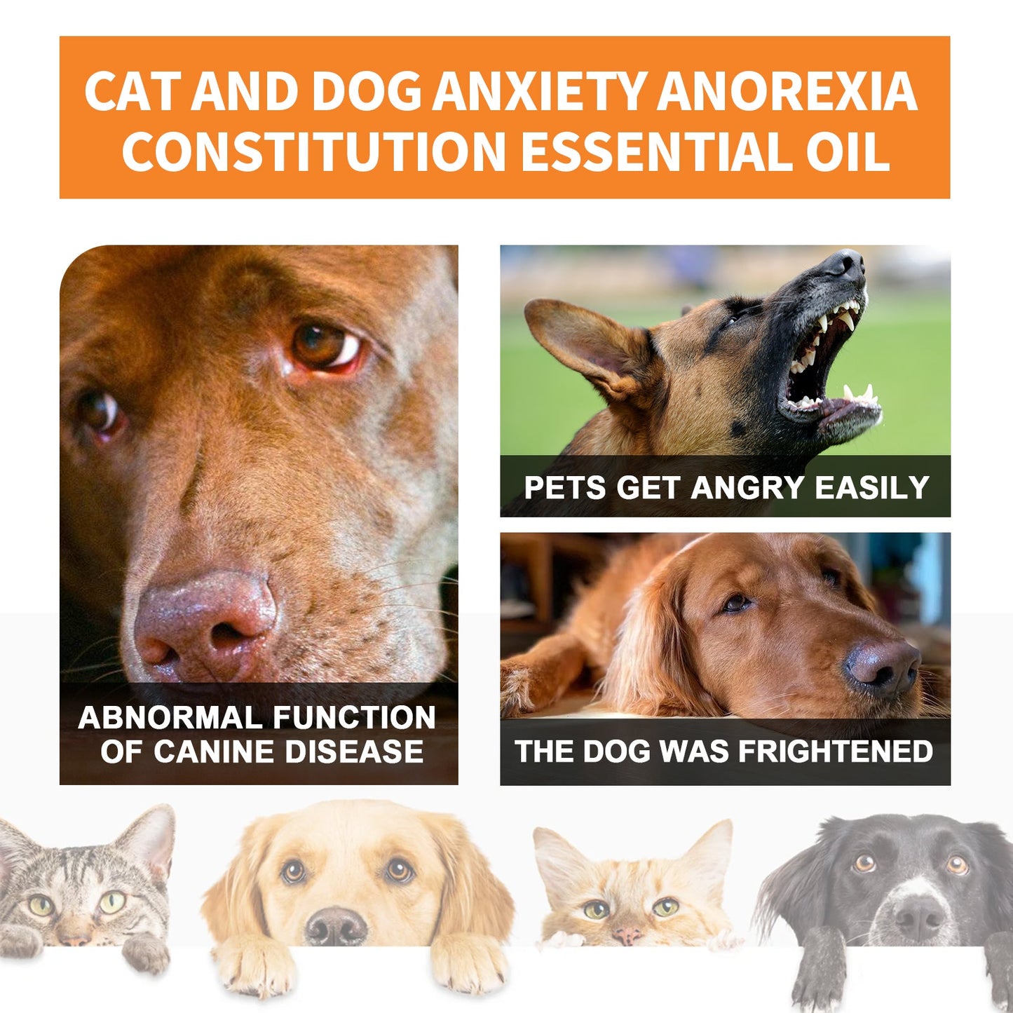 Cat And Dog Care Essence, Pet Cat And Dog Enhance Health Eat Care Sesame Seed Oil Essence - Korvel