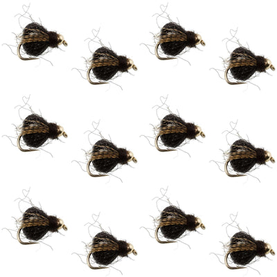 Pupa de Caddis Sparkle Noir Profond LaFontaine avec Tête en Perles - Taille 18 (12 Mouches)
