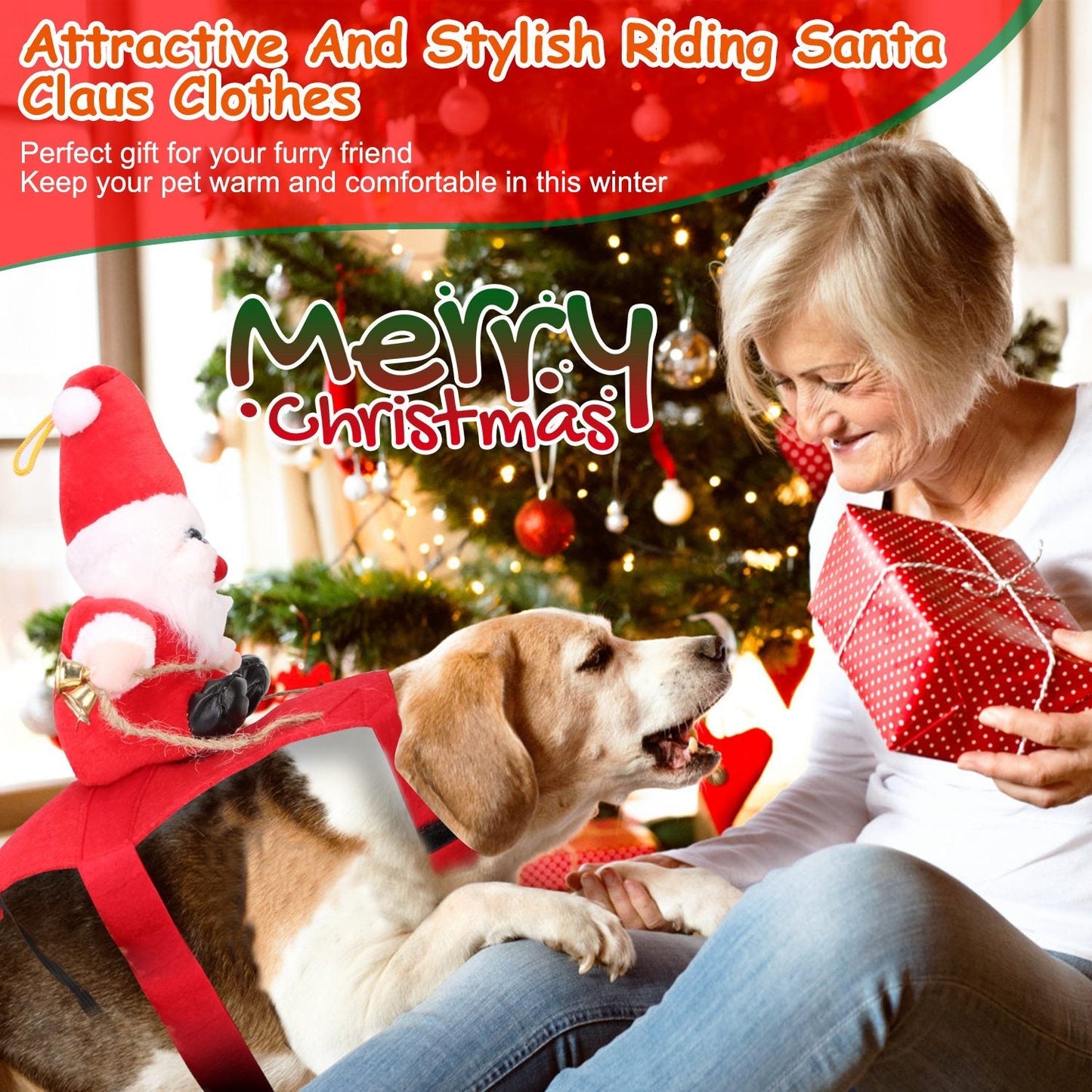 Costumes de Noël pour animaux de compagnie GBruno