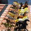 The Horse Race Game Plain Theme - Korvel