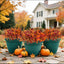 EcoBloom Outdoor Flower Set - Korvel