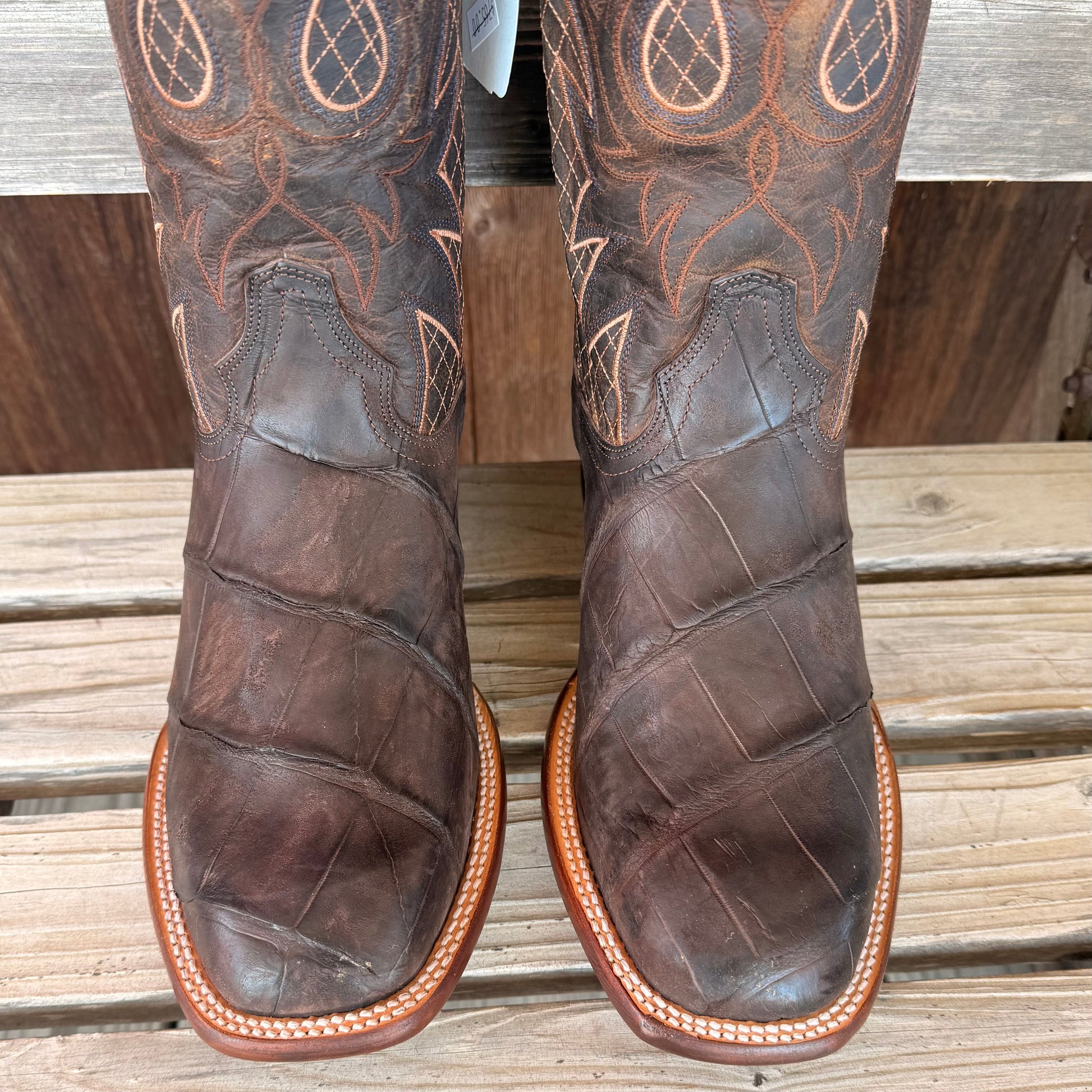 Brown Nubuck Alligator | Stetson Mens - Korvel
