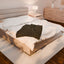 Presidential Seal Parody Velveteen Blanket