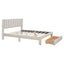 Queen Size Storage Bed Velvet Upholstered Platform Bed with a Big Drawer - Beige - Korvel