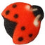 Oasis Supply Formes en Sucre Comestibles - Coccinelles