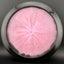 Glow Horizon C-Line CD1 - Zeta's Moon 2 Signature Series