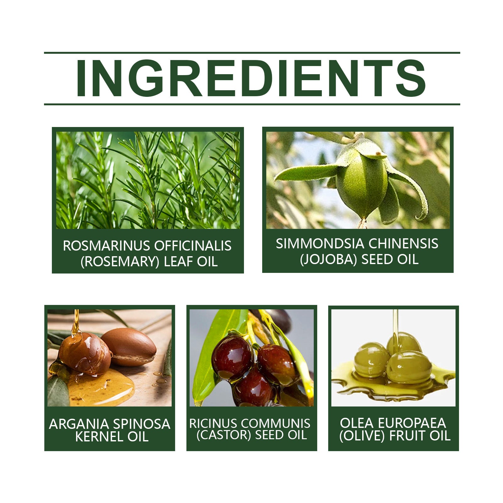 Rosemary Oil For Hair Growth, Promotes Healthy And Nourishing Strong Hair Essential Oil Hair Growth Oil - Korvel
