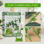 Support mural pour plantes grimpantes - Support auto-adhésif pour vignes