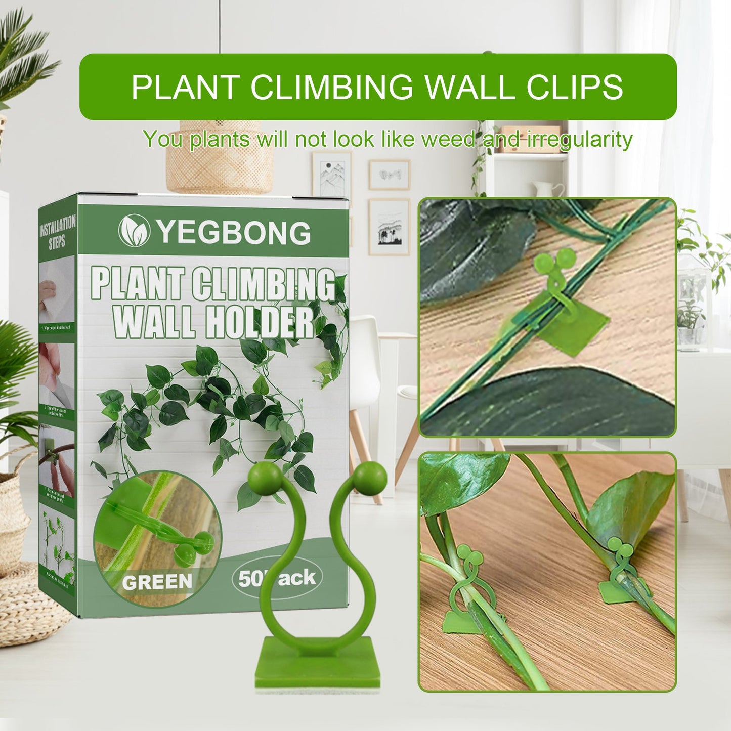 Support mural pour plantes grimpantes - Support auto-adhésif pour vignes
