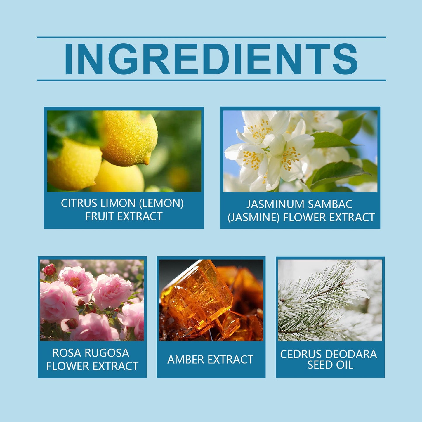 Summer Lemon Perfume Natural Fresh Lasting Bergamot Vibrant Bouquet Bouquet Light Fragrance Light Elegant Perfume - Korvel