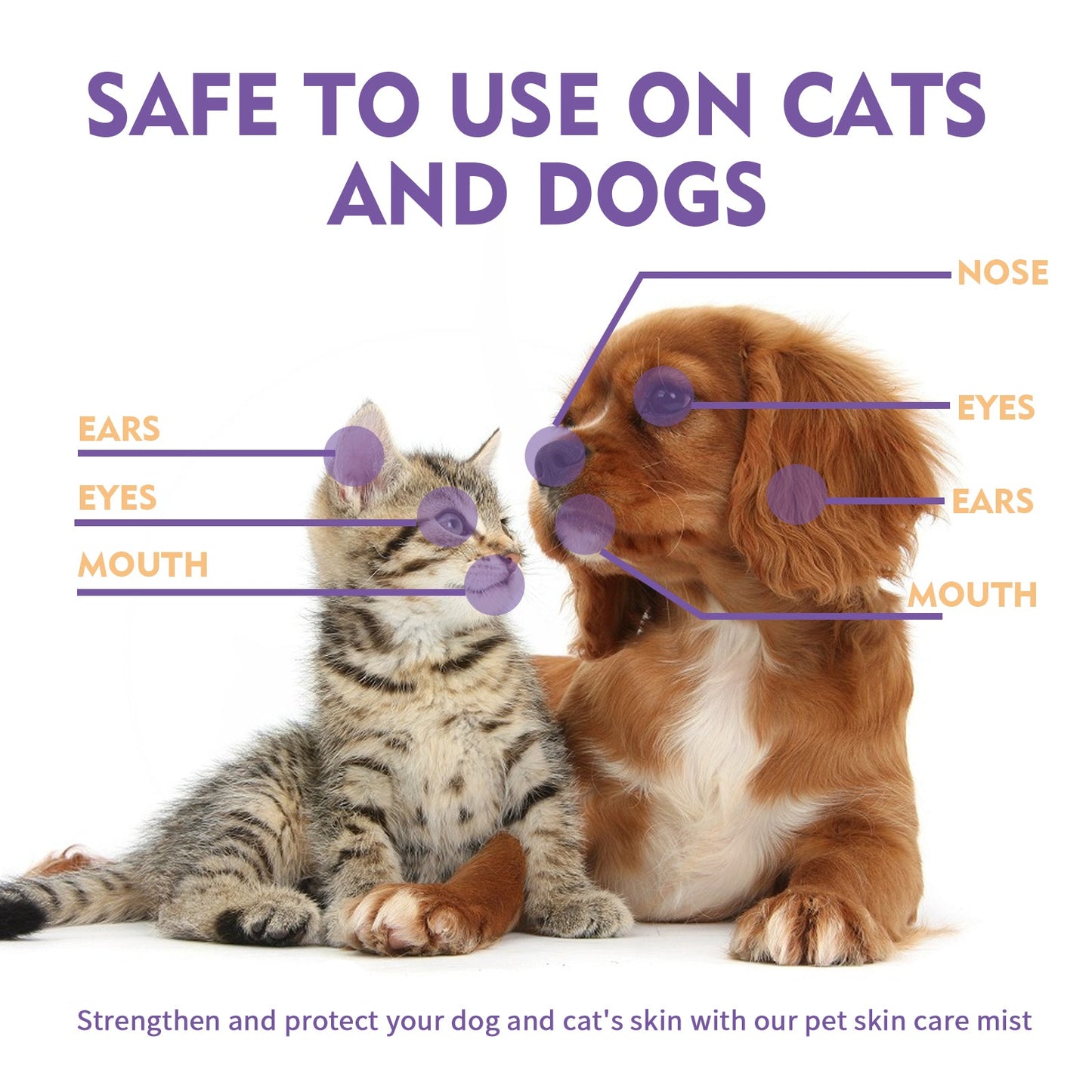 Pet Skin Relief Spray, Relieves Dog And Cat Skin Itchiness Eliminates Mites Cleaning Care Spray - Korvel