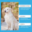 Premium Dog Nutrition Syrup for Enhanced Well-Being