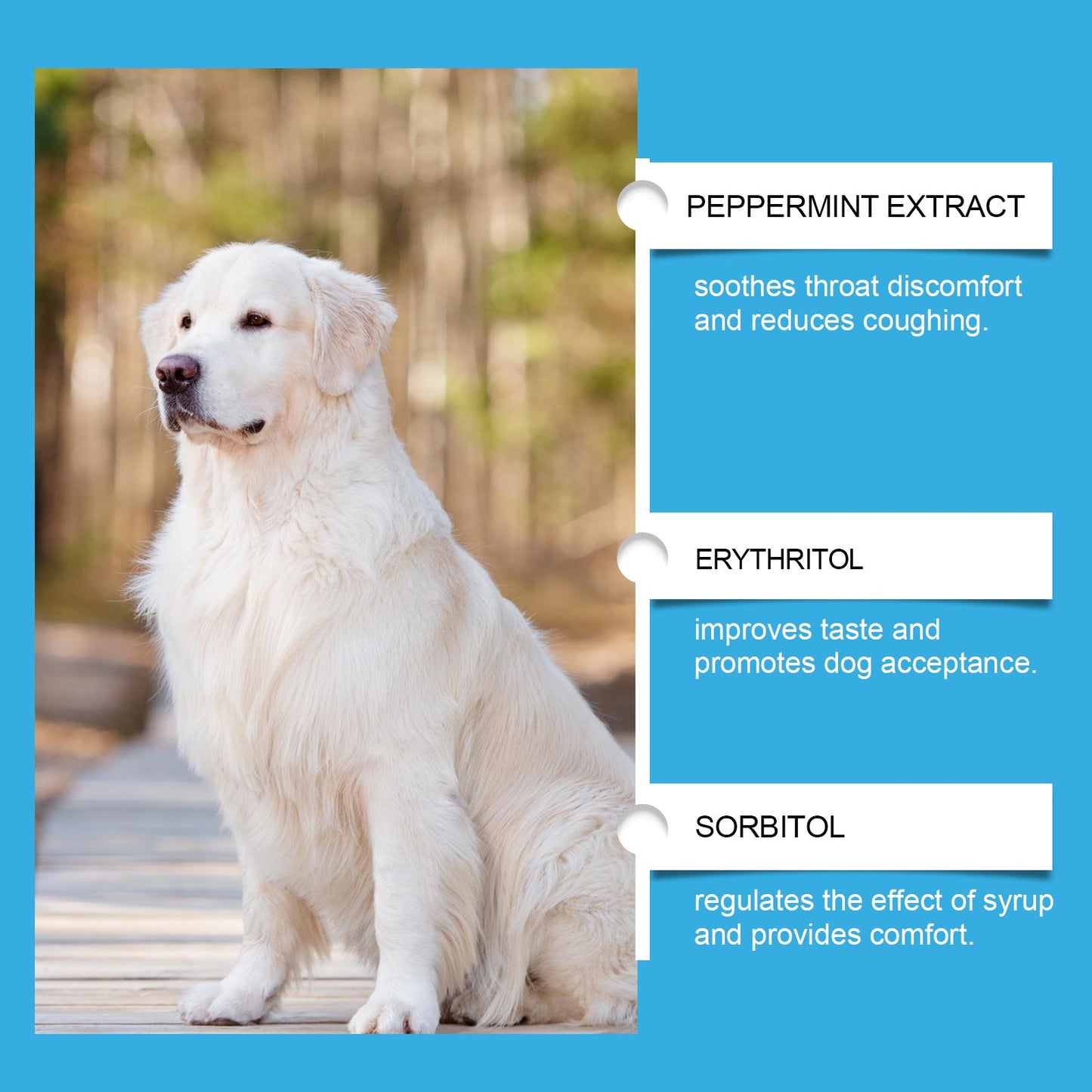 Premium Dog Nutrition Syrup for Enhanced Well-Being