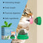 Mint-Flavored Rotating Cat Ball Toy Chew Toy Tooth Cleaning Care Rotating Mint Ball - Korvel