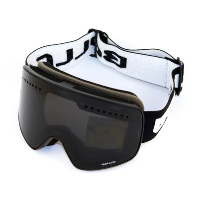 Premium Double Lens Ski Goggles