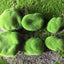 Mossy Stone Artificial Green Stone Arrangement