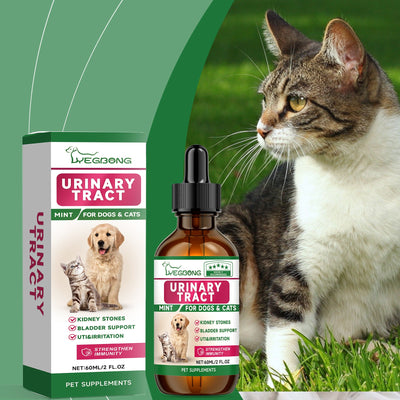 Premium Pet Care Supplement for Enhanced Vitality