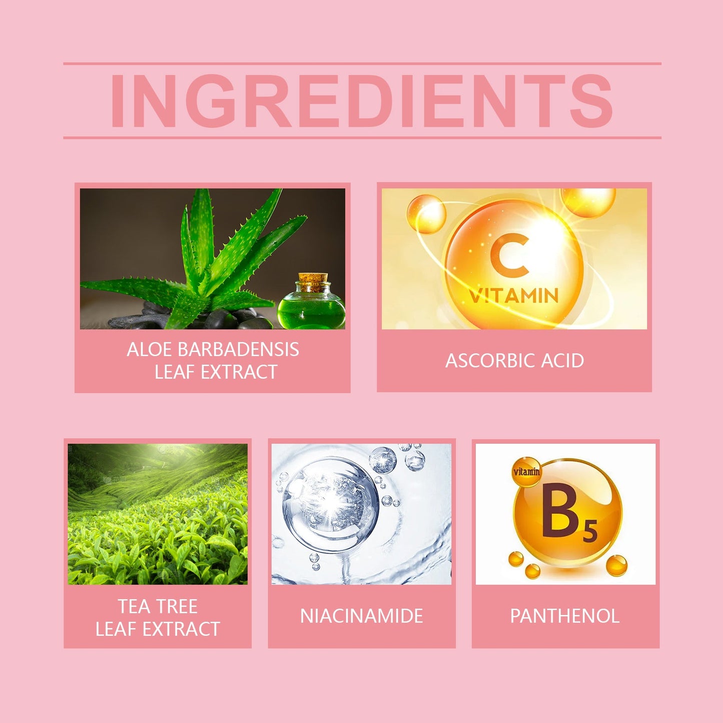Aloe Vera Moisturizing Water, Repair Facial Skin Hydrating, Moisturizing, Clear, Elastic And Improve The State - Korvel