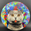 Fuzion Felon - DyeMax - Space Kitty Trippin Disc
