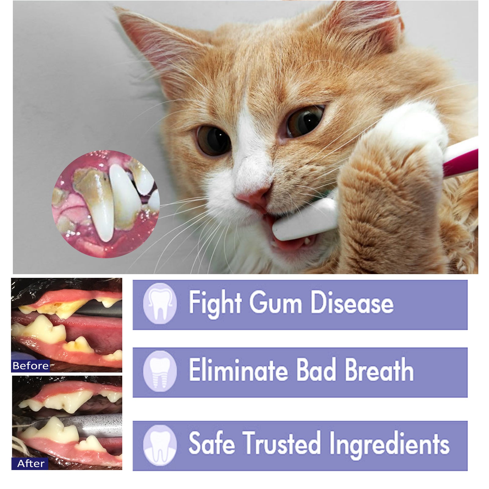Pet Mouth Cleaning Cream, Cats And Dogs Clean Bad Breath Tartar Stains White Teeth Cream - Korvel