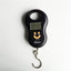 Hanging Scale 50Kg /10g Digital Scale BackLight Fishing Pocket Weight scale Luggage Scales Kg Lb OZ - Korvel