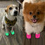 Heart Shaped Pet Dog Hole Shoes Silica Gel Wear-Resistant Breathable Slippers Dog Sandals Pet Decorations - Korvel