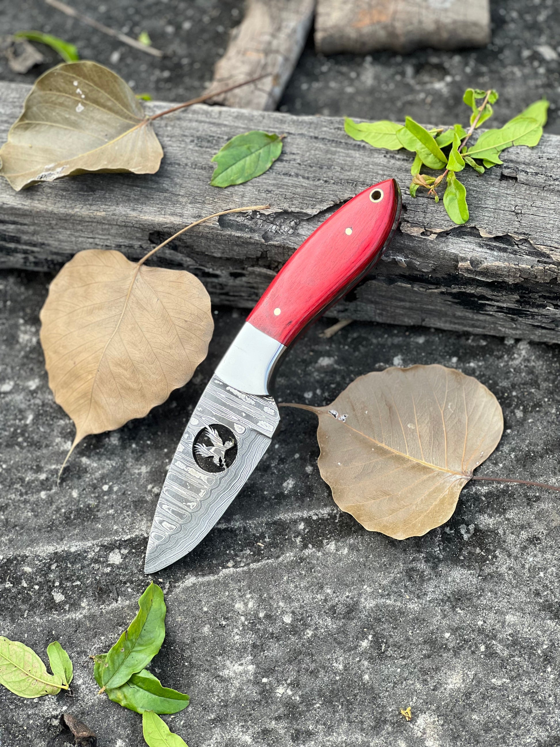 Custom Damascus Steel Fixed Blade Pocket Knife - Ideal for Hunting - Korvel