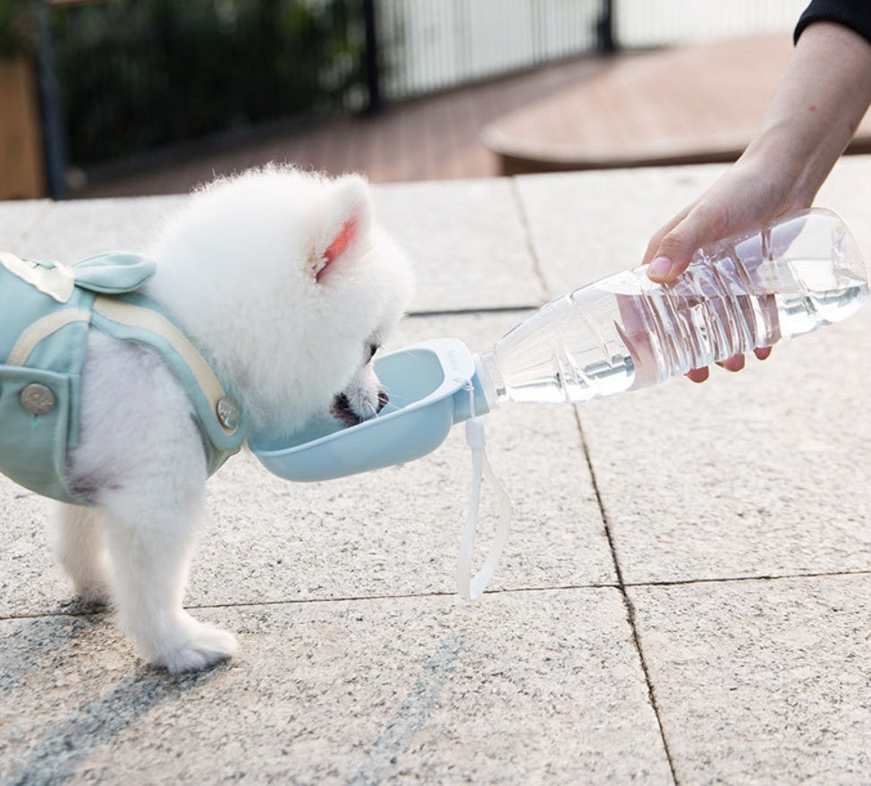 Bouteille d'eau portable Teddy pour animaux de compagnie
