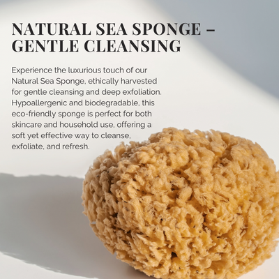 Natural Sea Sponge for Gentle Cleansing
