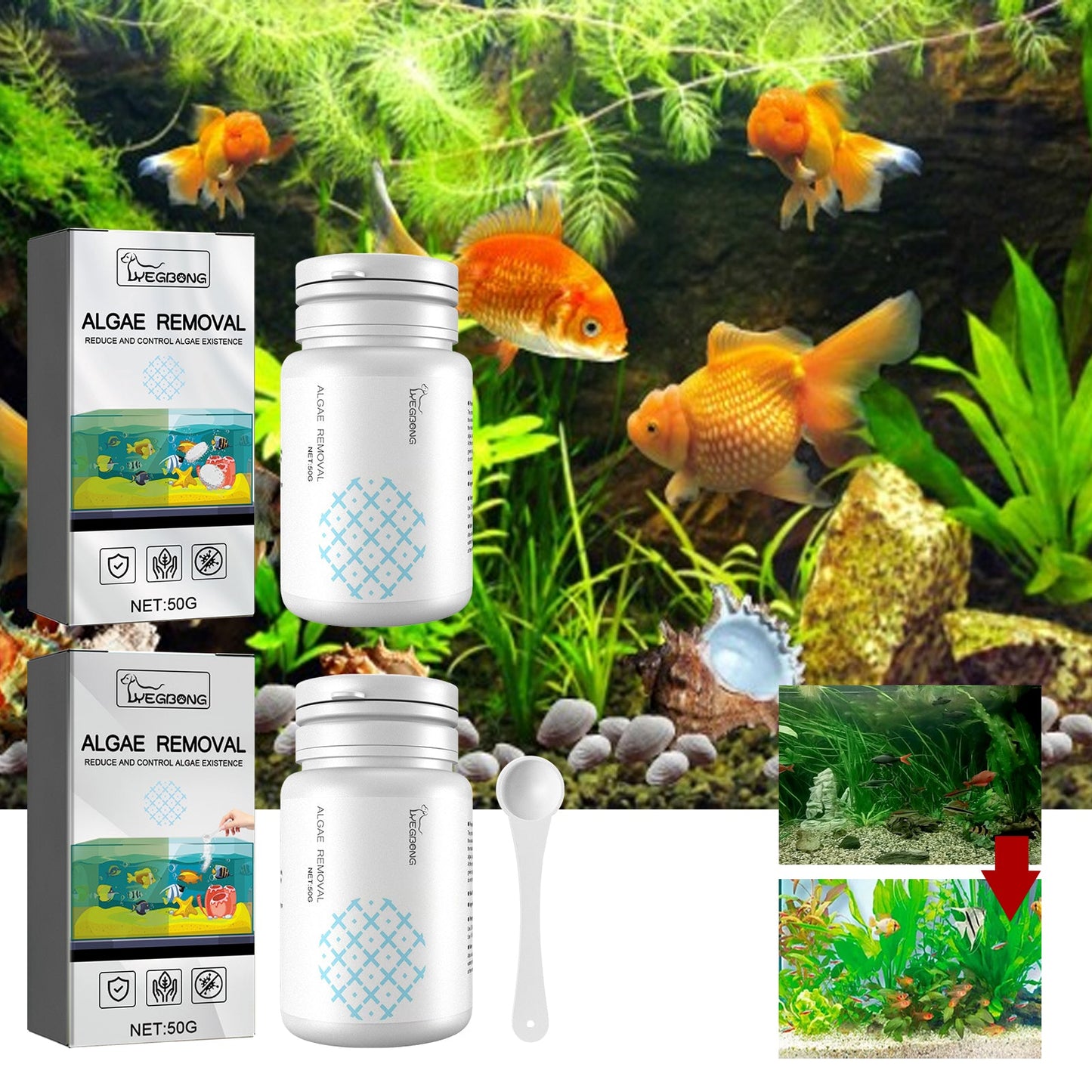 Premium Algae Removal Agent for Aquariums