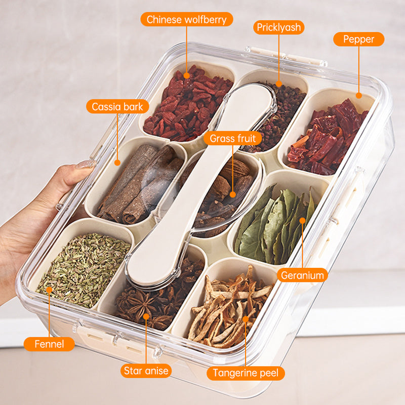 Design Sealed Snackle Storage Box With 9pcs Divider Plastic Divided Veggie Tray With Lid And Handle - Korvel