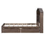 Twin Size Wood Platform Bed with House-shaped Storage Headboard and 2 Drawers Walnut - Korvel