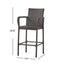 Littleton Barstool - Elegant Brown Design