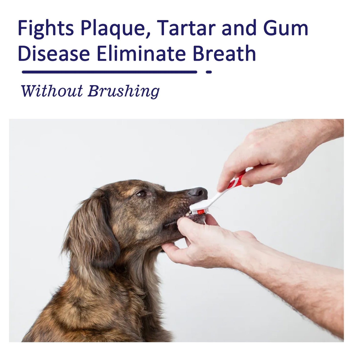 Pet Mouth Cleaning Cream, Cats And Dogs Clean Bad Breath Tartar Stains White Teeth Cream - Korvel