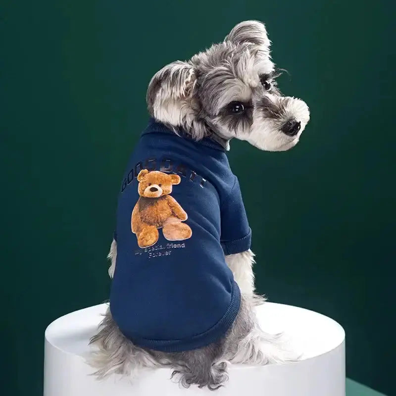 Bear Embrace Pullover for Pets