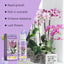 Premium Orchid Growth Nutrient Solution for Vibrant Blooms