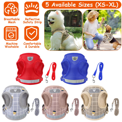 GBruno Premium Pet Mesh Harness