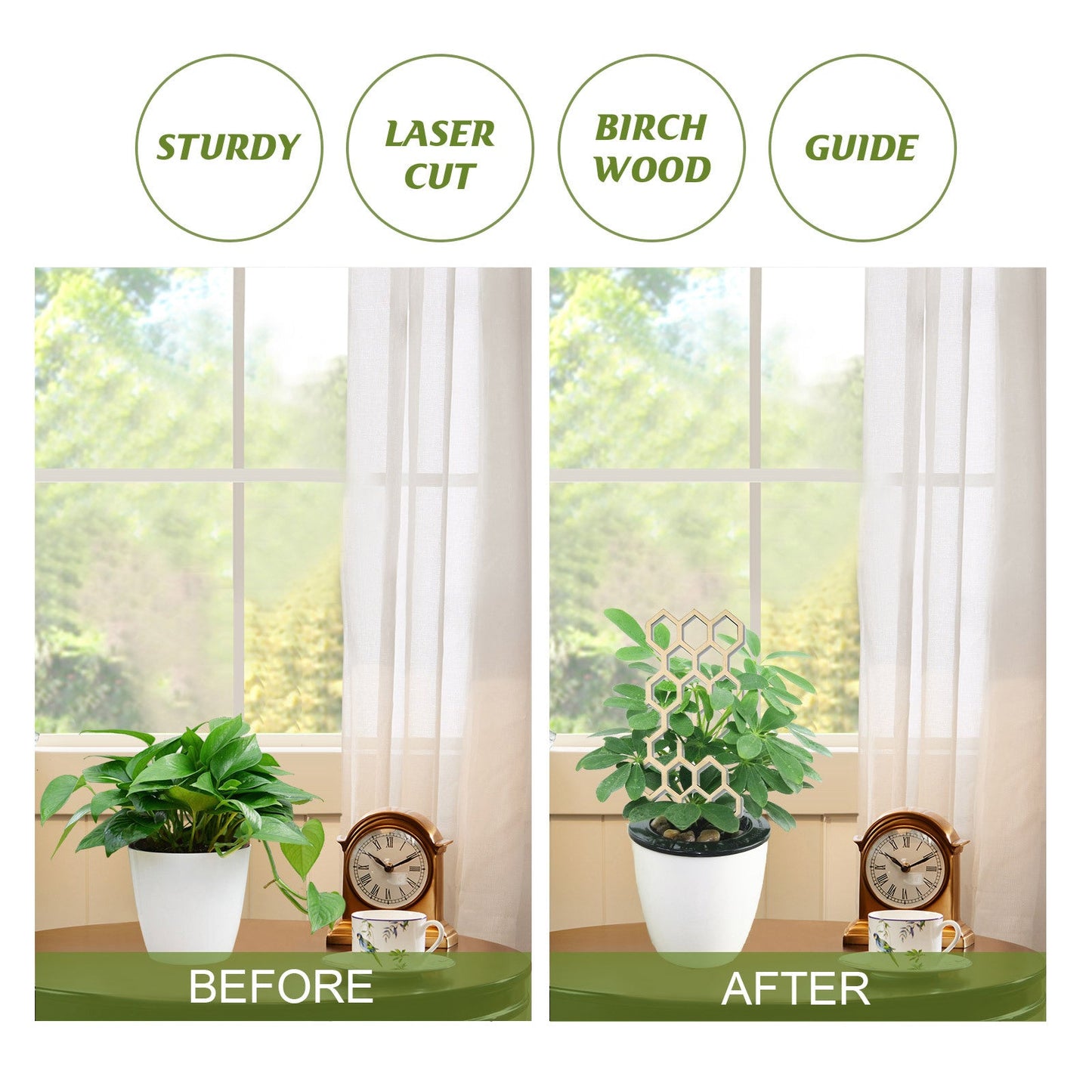 Premium Wooden Garden Trellis for Climbing Plants