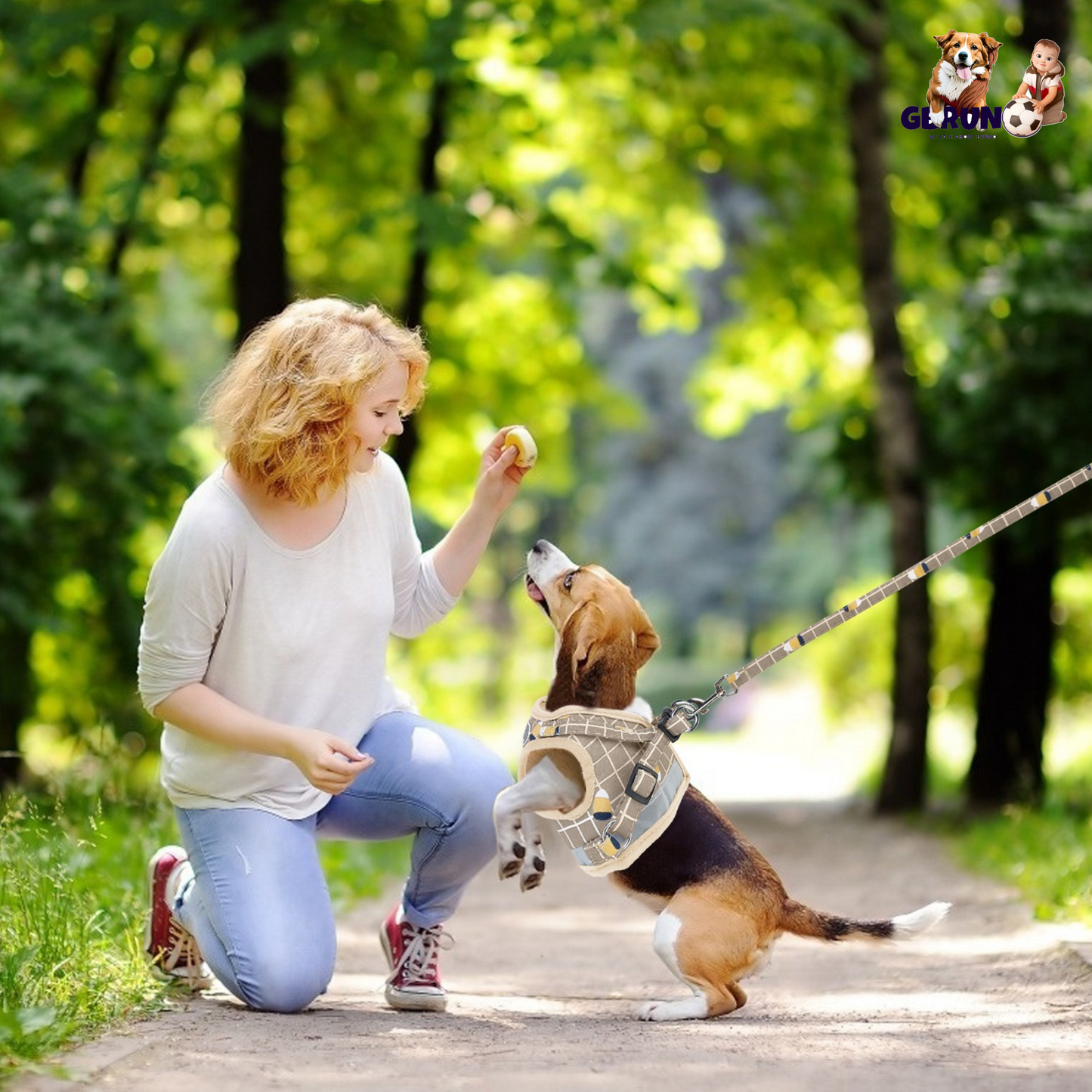 GBruno Premium Pet Mesh Harness